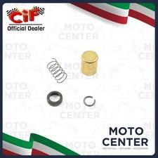 KIT REVISIONE MOTORINO