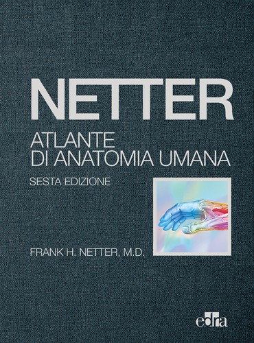 Netter atlante anatomia - atlante, di