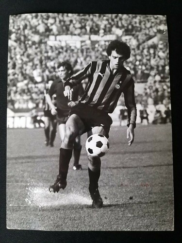 Altobelli foto - ***,