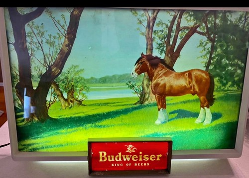 Vintage 1950 budweiser - vintage, 1950’s