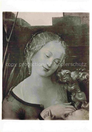 Duerer albrecht - duerer, (1471-1528)