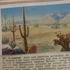 FIGURINA N.139 LA VERA  STORIA