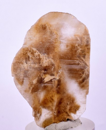 Moneta dollaro selenite - 4,1,