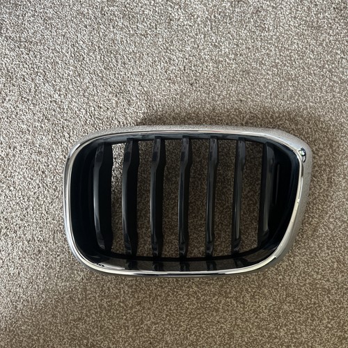 Griglia renale destra