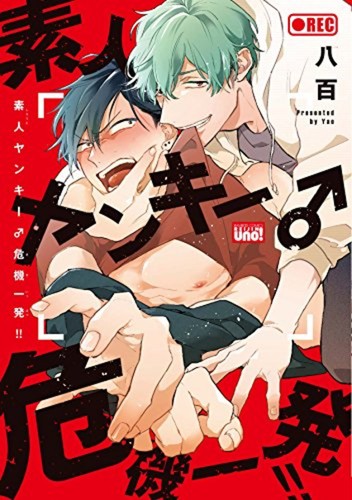 Shirouto yankee kikiippatsu - yankee,