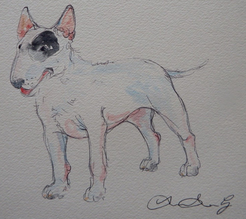 Quadro acquerello bull terrier - quadro,