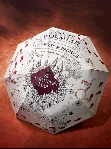 Harry potter marauders map - potter,