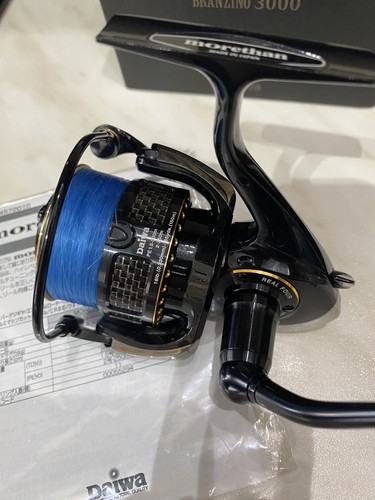 Daiwa morethan branzino - 08,