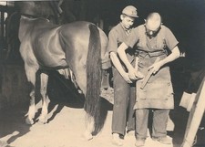 14/908 Foto Beruf Maniscalco