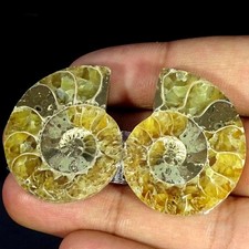 Coppia Cabochon Fantasia