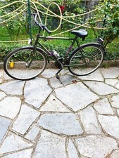 Bici mountain bike country village Shimano verde