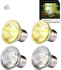 50W*4 Lampadine Tartarughe