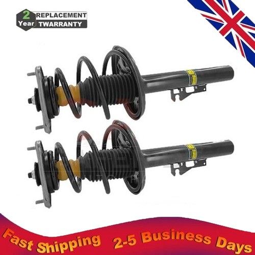 Gruppo ammortizzatore - 2x,