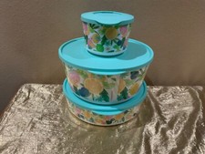 New tupperware fruits - tupperware, citrus