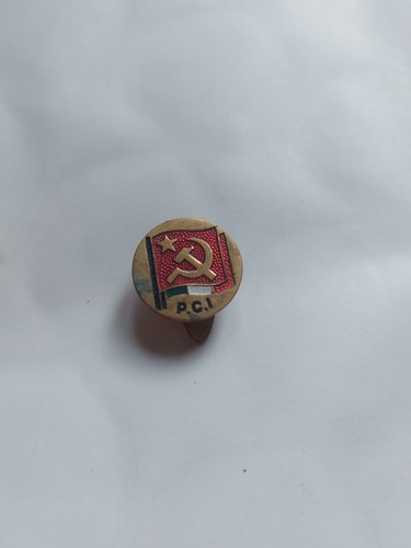 Distintivo pins spilla badge