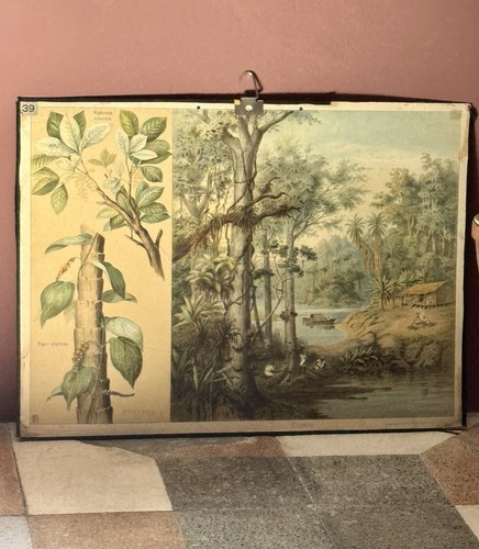 Tavola scolastica tedesca