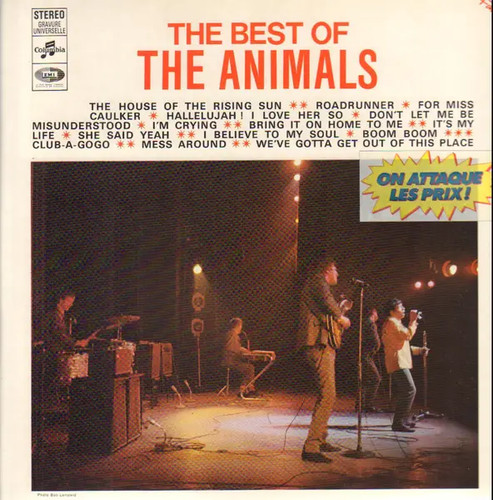 The animals - the,