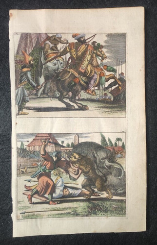 Persia india lotta elefante - persia,