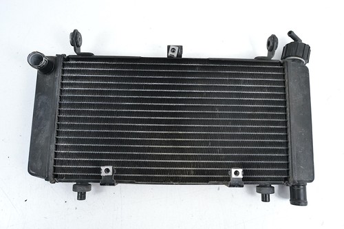 Radiatore acqua moto morini - radiatore,