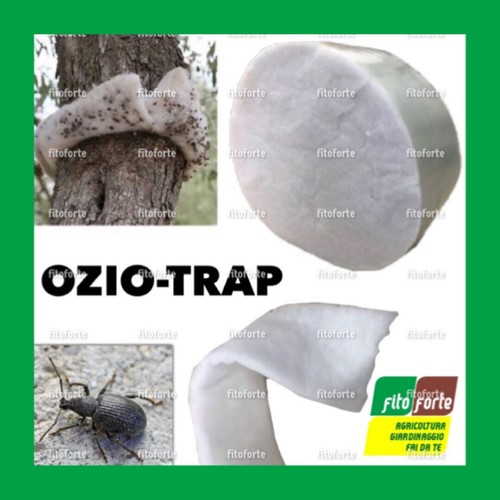 Trappola oziorrinco ozio trap - ozio,