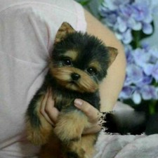 Giocattolo Simulazione Cane