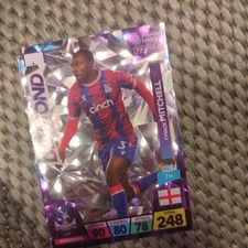 Panini Premier League