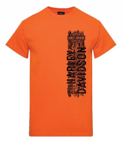 Harley davidson shirt uomo - harley-davidson,