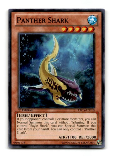 Squalo pantera ltgy en010 - pantera, ltgy-en010