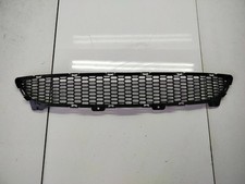 BMW Z4 E89 2009 griglia