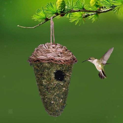 Nido per uccelli capanna - nido,