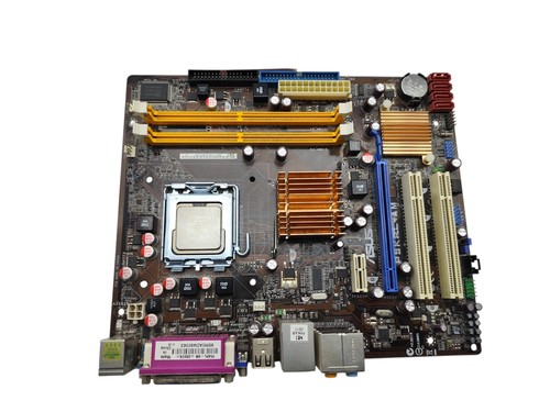 Scheda madre asus - scheda,