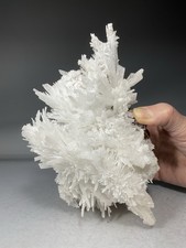 SS Rocks - Aragonite (area