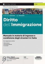 Libro - Emanuela Zanrosso / Igor Brunello - Diritto Dell'immigrazione. Manuale I