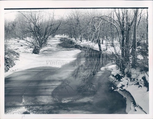 1950 burton terreno innevato - 1950,
