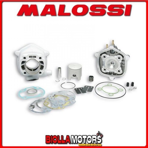 318460 gruppo termico malossi - gruppo,