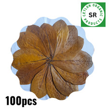 Foglie di catappa di mandorle indiane Betta pesci acquario Ketapang cura gamberetti A++ 100 pezzi