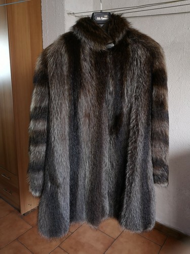 Pelliccia marmotta - pelliccia,