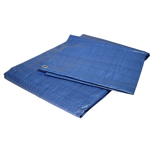 Telo plastica blu - in, 80g/m²