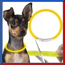 Collare Luminoso per Cane di