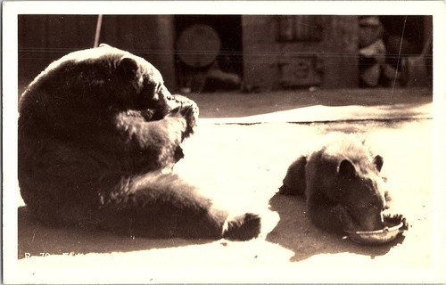 Cartolina epoca vintage rppc - cartolina,