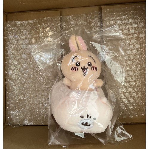 Guida chiwawa boiy peluche - boiy,
