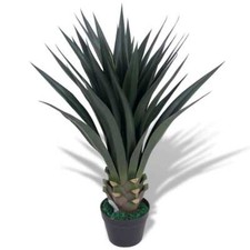 vidaXL Yucca Pianta