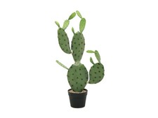 EUROPALMS Nopal Cactus
