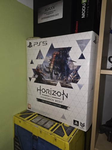 Horizon forbiden west ps5 - horizon,