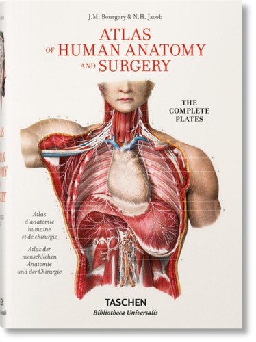 Bourgery atlas human - of,