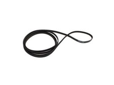 Cinghia di coda ad alte