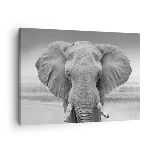 Quadro tela 70x50cm - quadro, su
