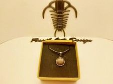 Fossil Wood pendente rotondo