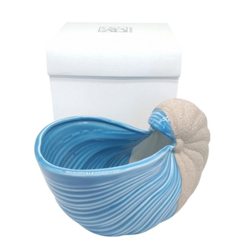 Conchiglia vaso grande - conchiglia,