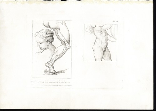 Studio michelangelo - studio, di